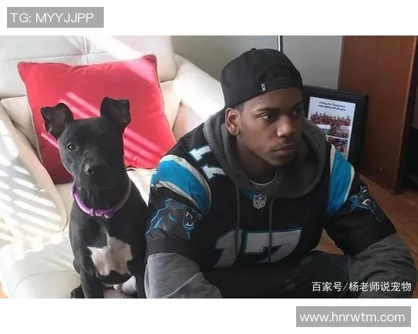 足球球星纷纷为爱犬挑选新宠物 养狗成潮流背后的故事